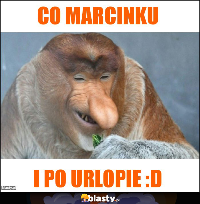 Co Marcinku