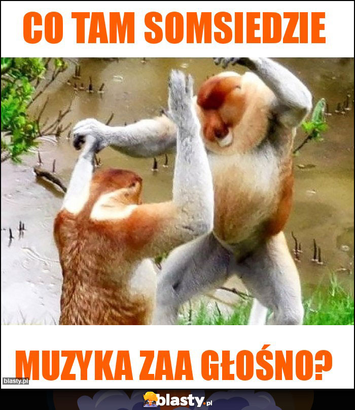 Co tam somsiedzie