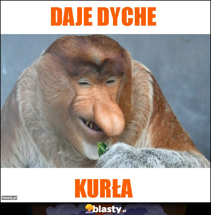 Daje Dyche