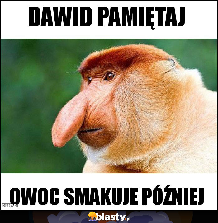 Dawid pamiętaj