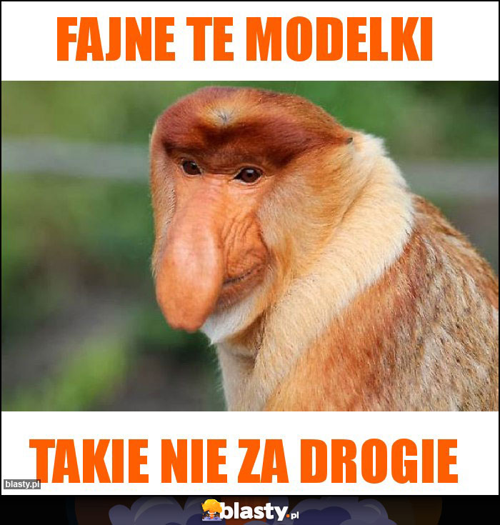 Fajne te modelki