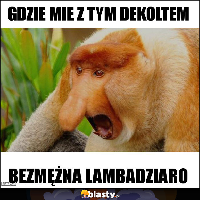 GDZIE MIE Z TYM DEKOLTEM