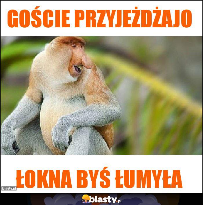 Goście przyjeżdżajo