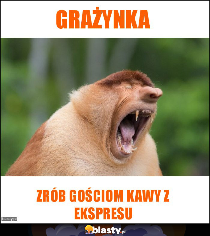 Grażynka