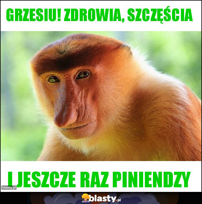 Grzesiu! Zdrowia, szczęścia