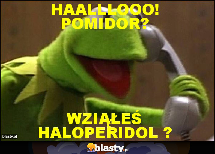 Haalllooo! Pomidor?