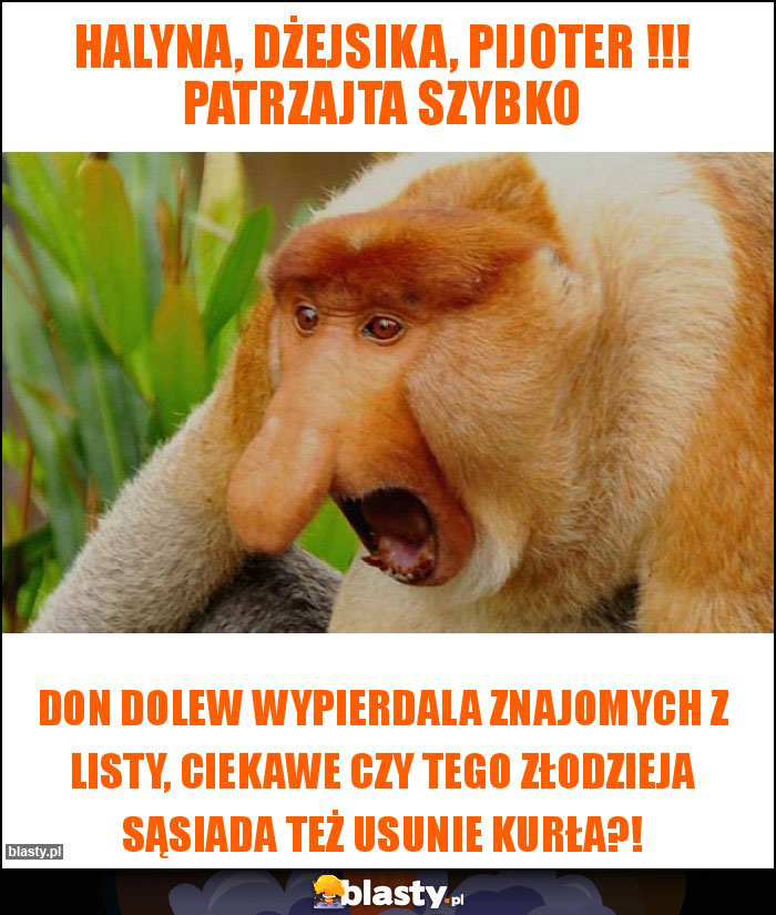 Halyna, Dżejsika, Pijoter !!! Patrzajta szybko