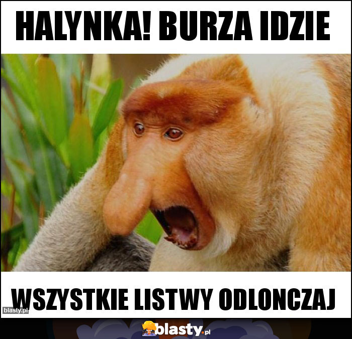 Halynka! Burza idzie