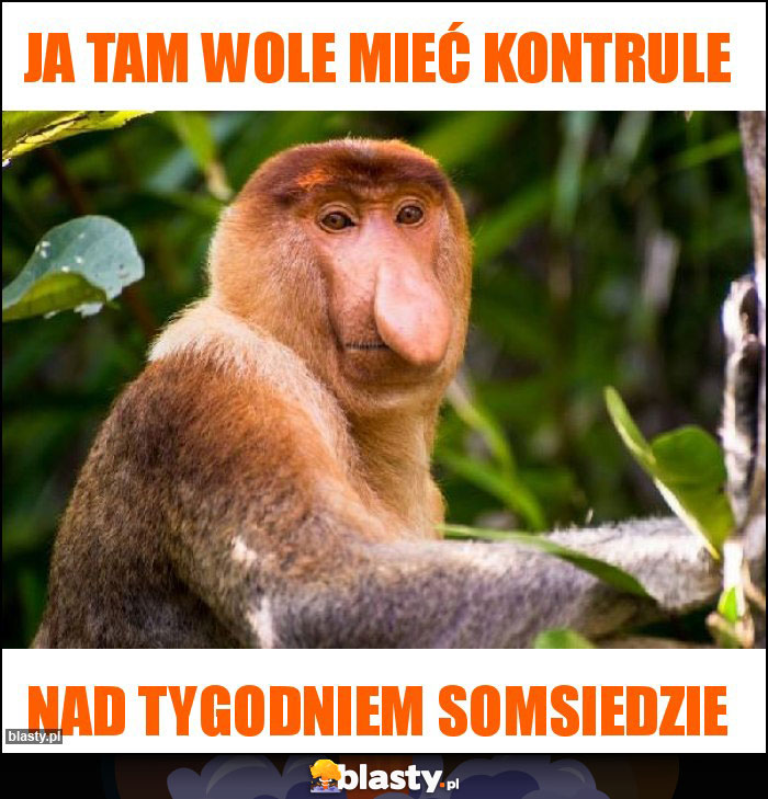 ja tam wole mieć kontrule