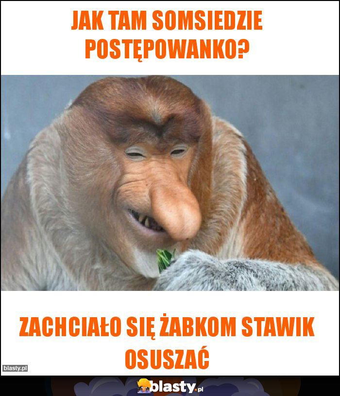 jak tam somsiedzie postępowanko?