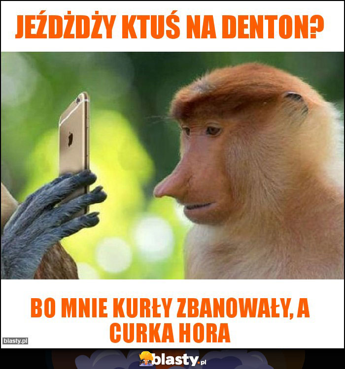 Jeźdżdży ktuś na Denton?