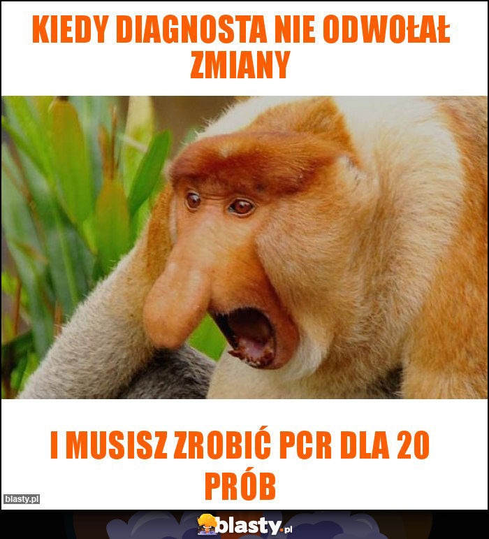 Kiedy diagnosta nie odwołał zmiany