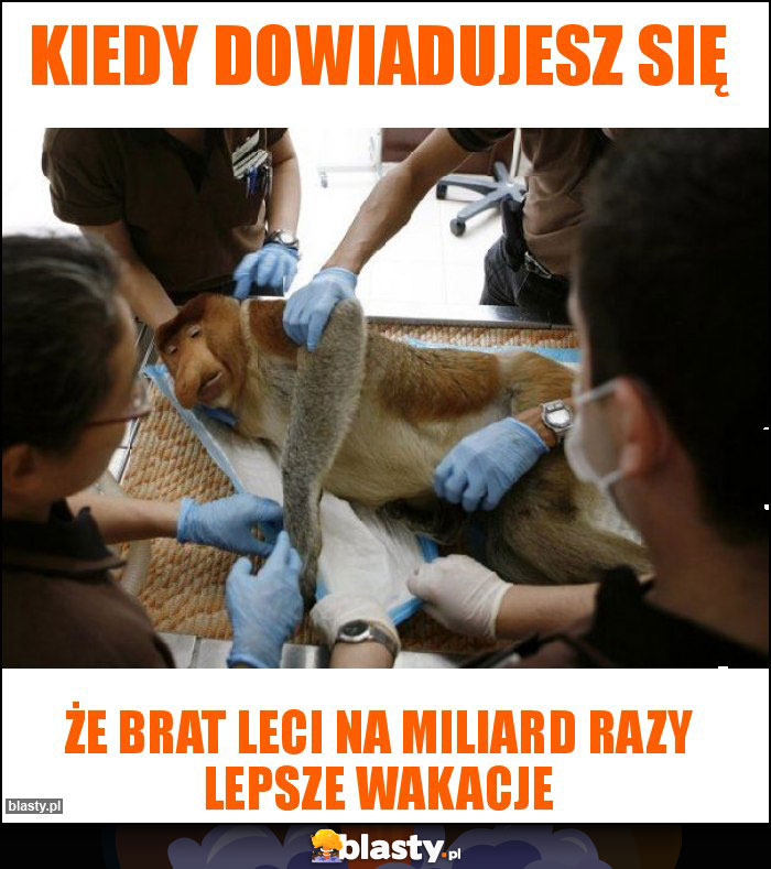 Kiedy dowiadujesz się