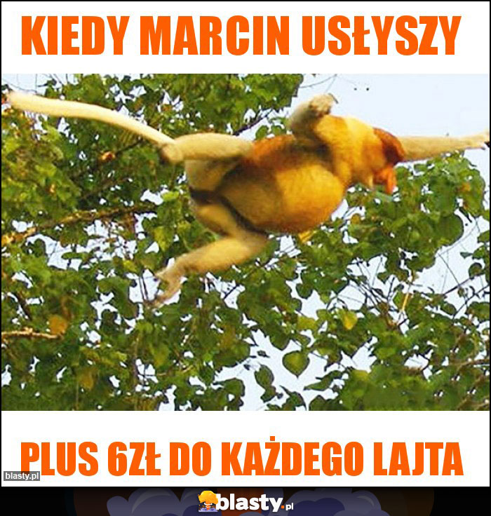 Kiedy marcin usłyszy