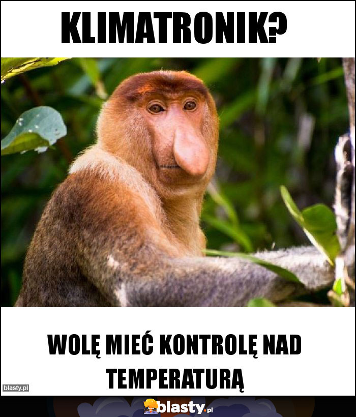 klimatronik?