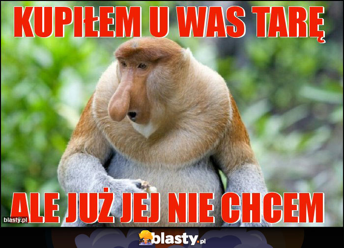 Kupiłem u was Tarę