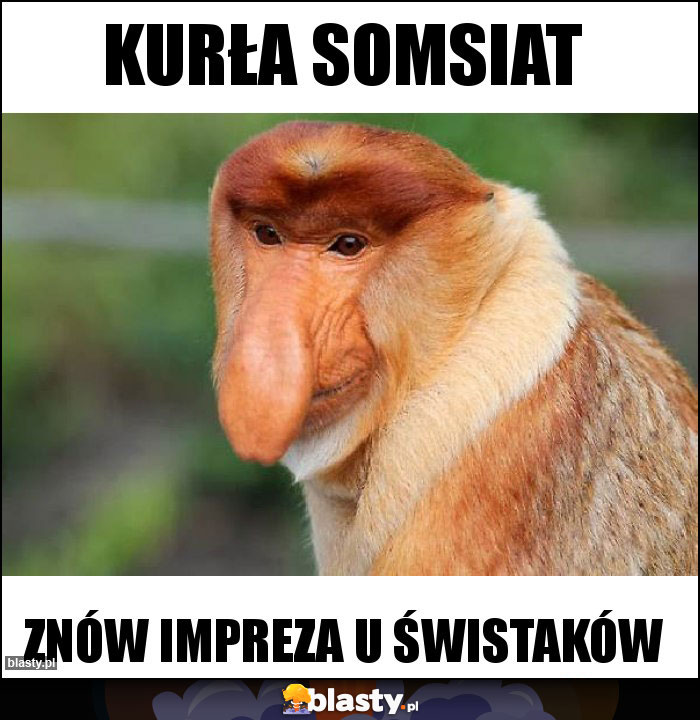 KURŁA SOMSIAT