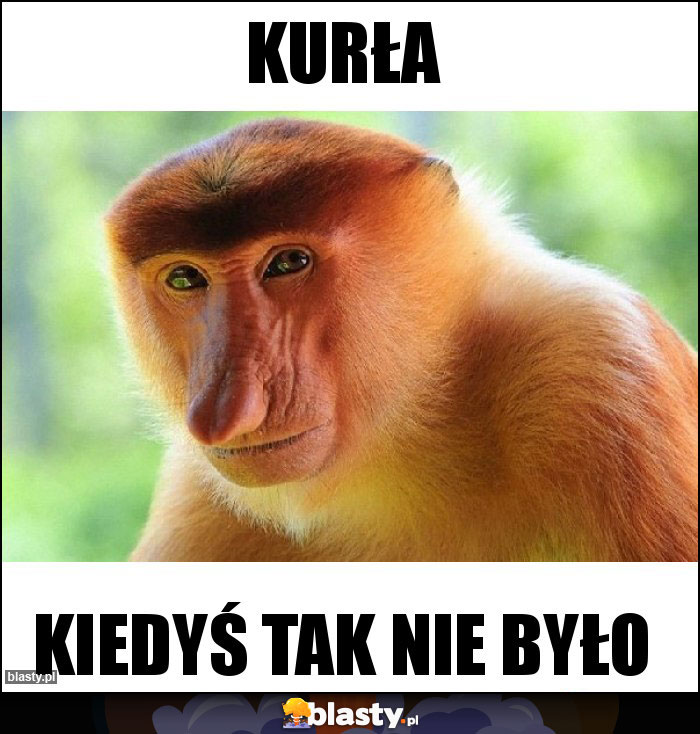 Kurła