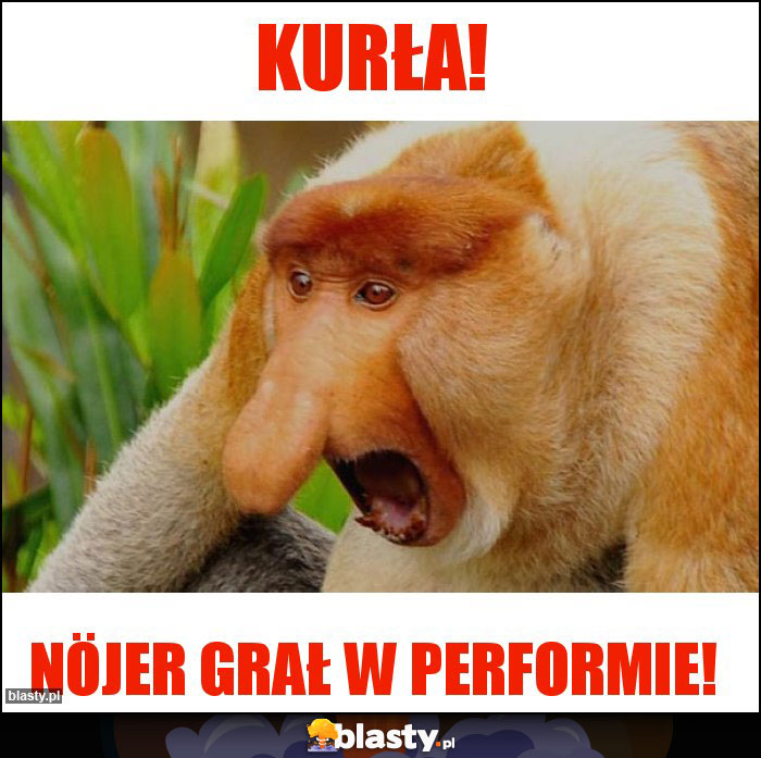 Kurła!