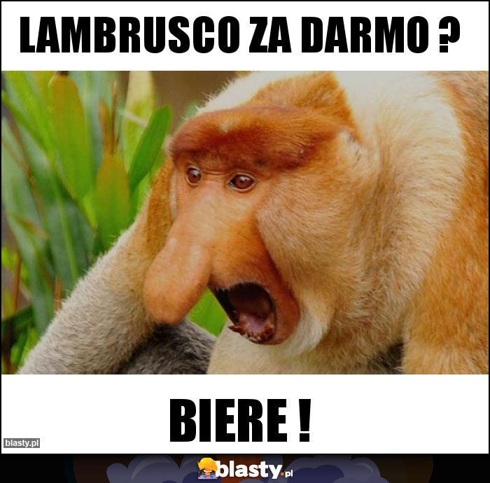 LAMBRUSCO ZA DARMO ?