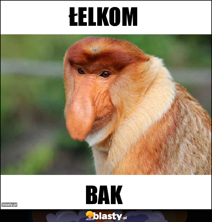 ŁELKOM