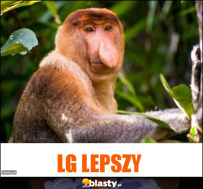 LG LEPSZY