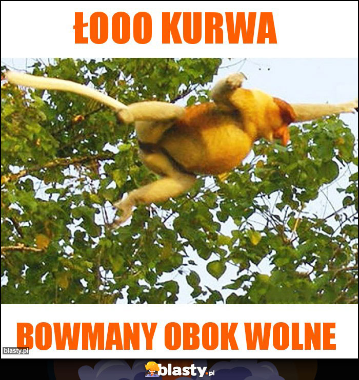 Łooo kurwa