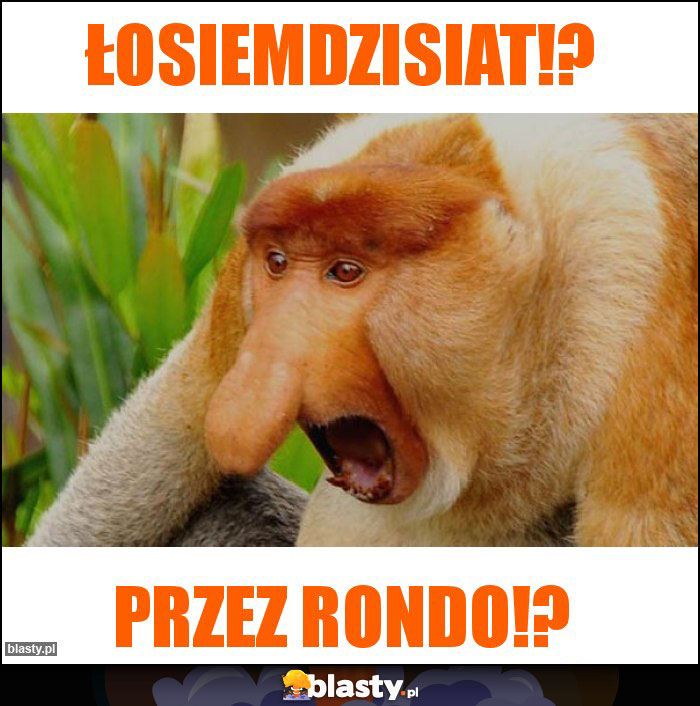 Łosiemdzisiat!?