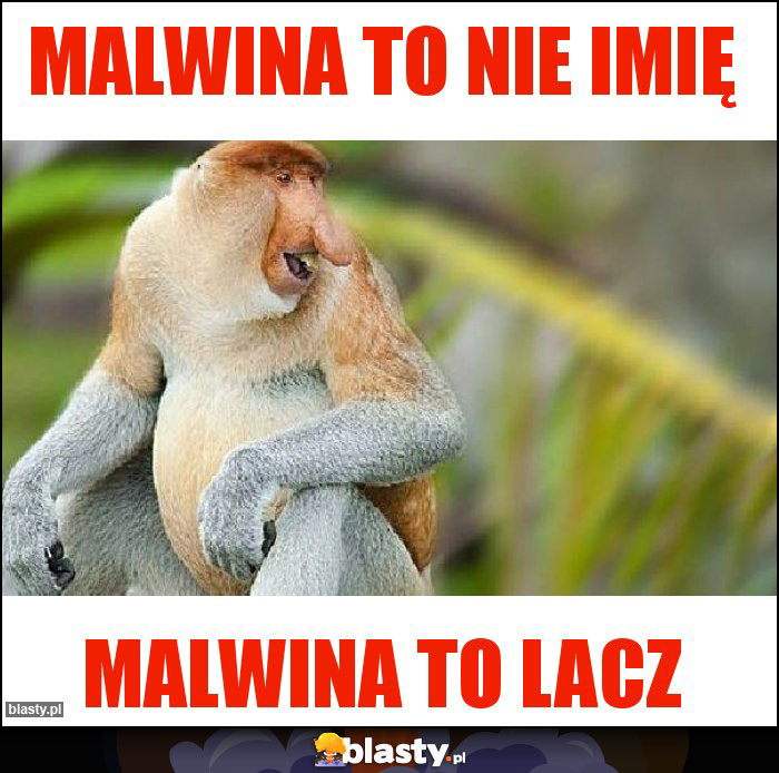 MALWINA TO NIE IMIĘ