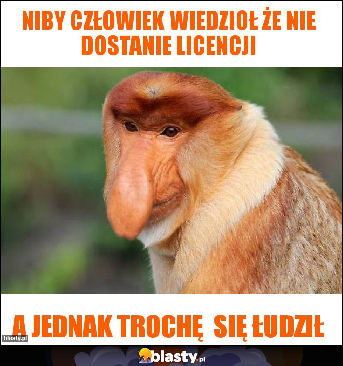 Niby człowiek wiedzioł że nie dostanie licencji