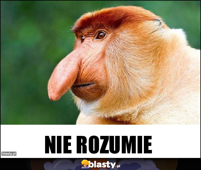 NIE ROZUMIE