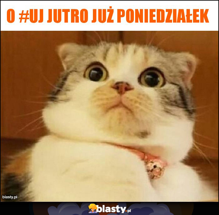 O #uj jutro już poniedziałek