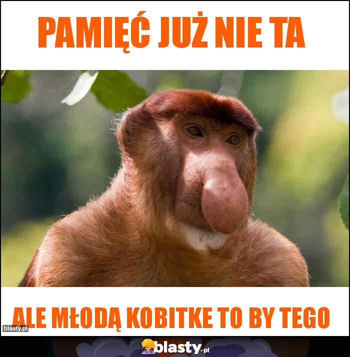 Pamięć już nie ta