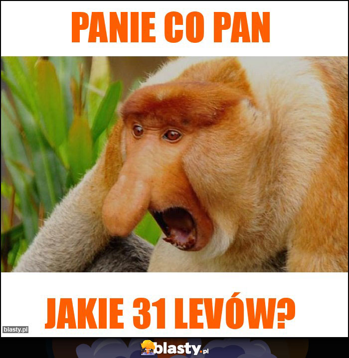 Panie co pan