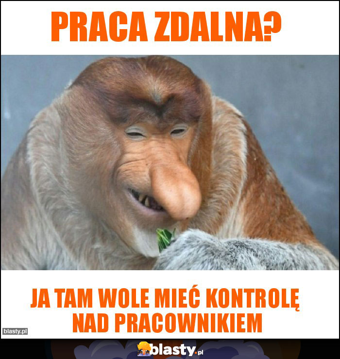 Praca zdalna?