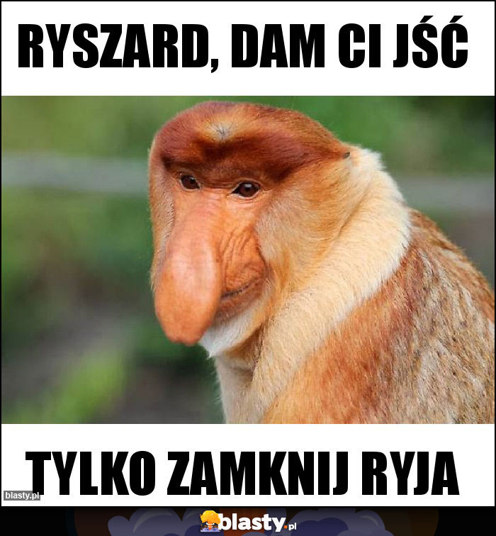 Ryszard, Dam ci jść