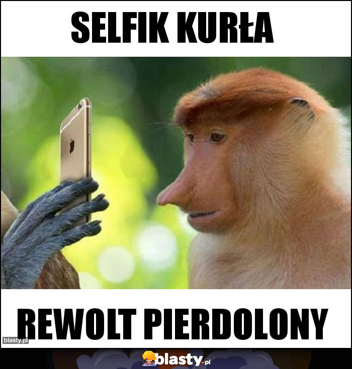 selfik kurła