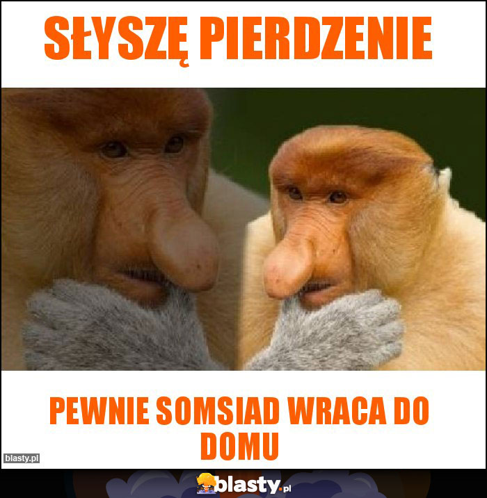 SŁYSZĘ PIERDZENIE