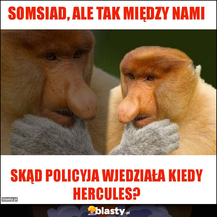 SOMSIAD, ALE TAK MIĘDZY NAMI