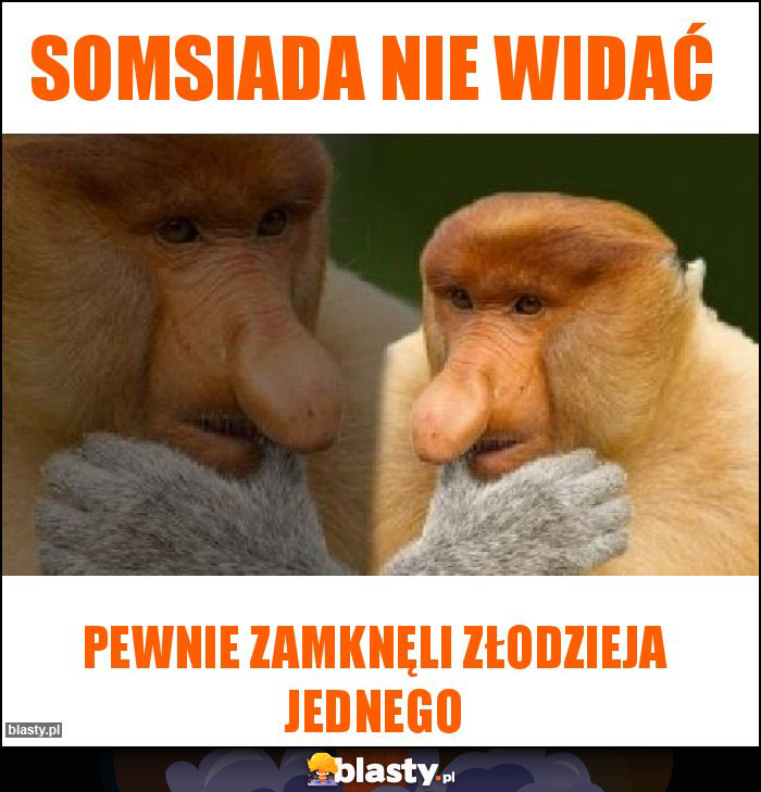 Somsiada nie widać