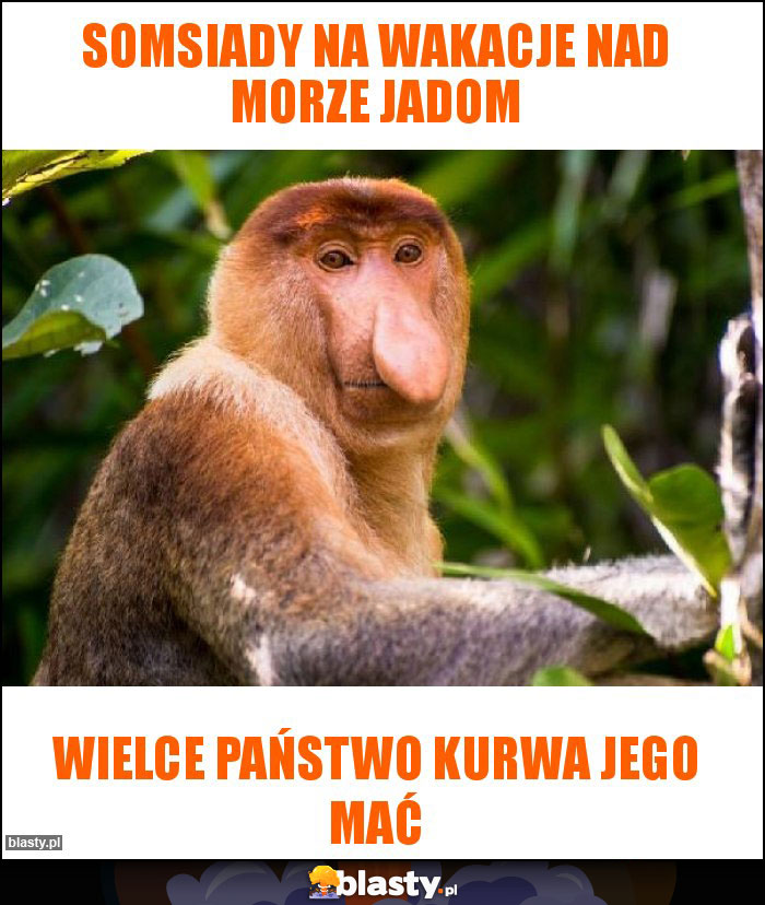 Somsiady na wakacje nad morze jadom