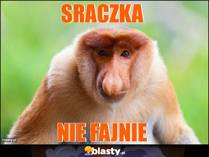 Sraczka