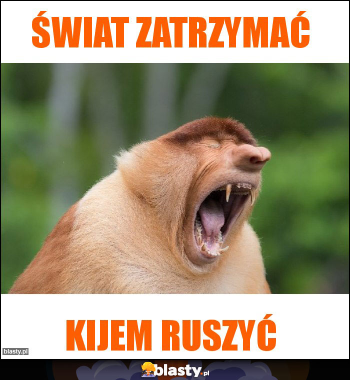 świat zatrzymać