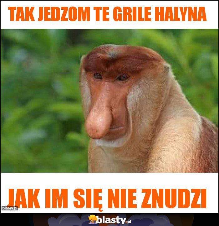 Tak jedzom te grile halyna