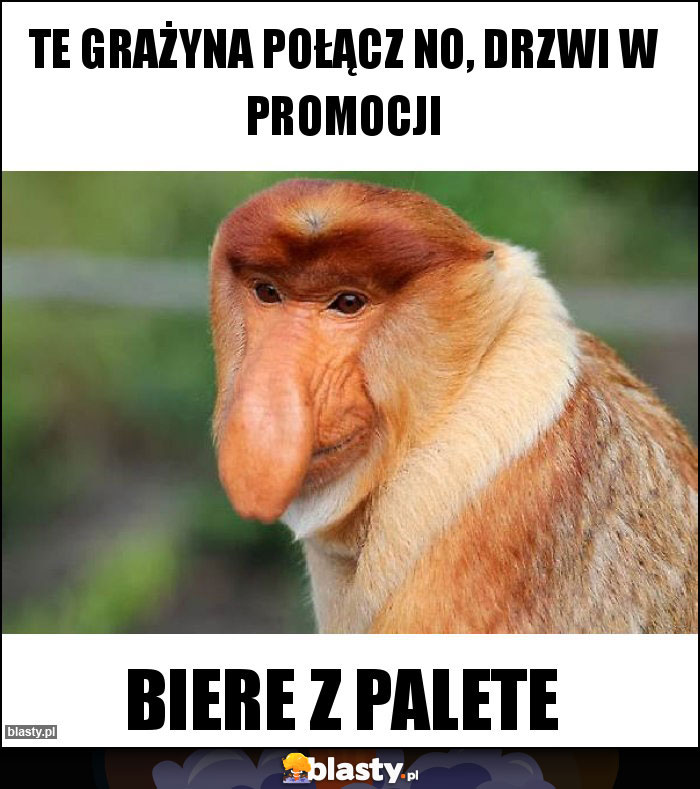 Te Grażyna połącz no, drzwi w promocji