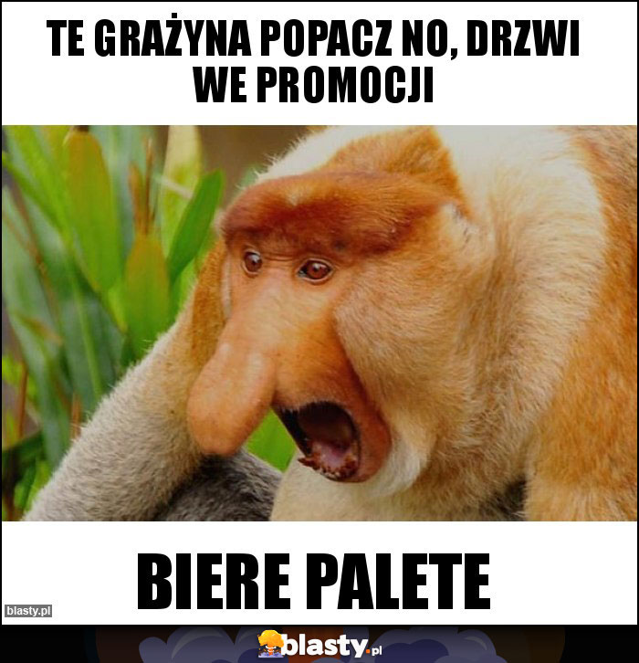 Te Grażyna popacz no, drzwi we promocji