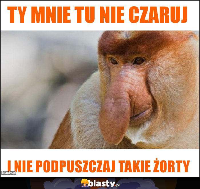 Ty mnie tu nie czaruj