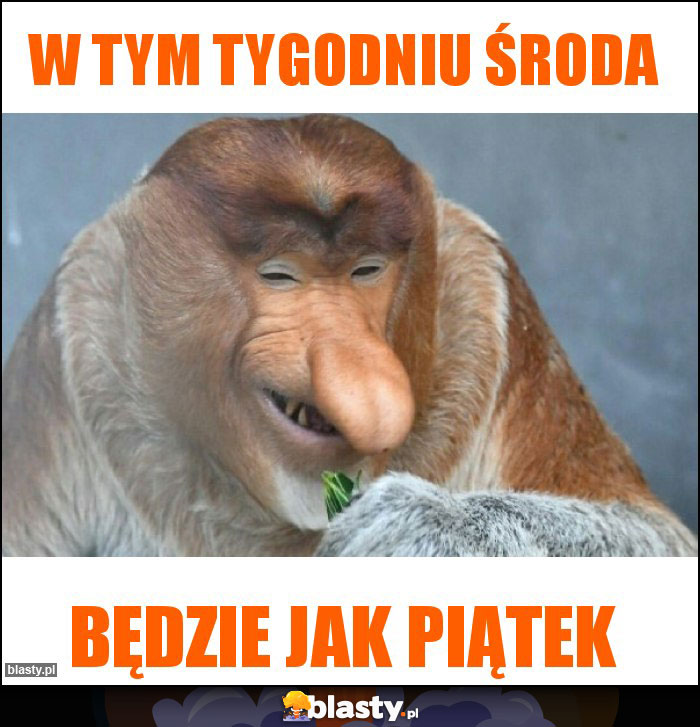 W tym tygodniu środa