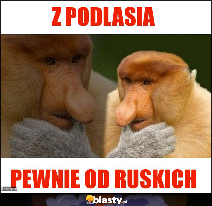 Z PODLASIA