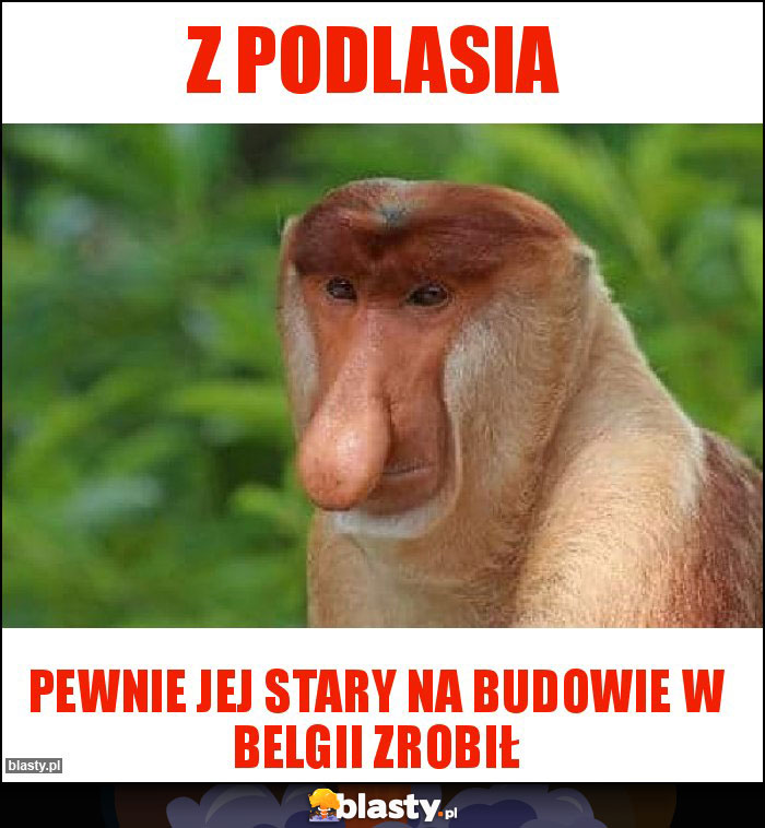 Z PODLASIA